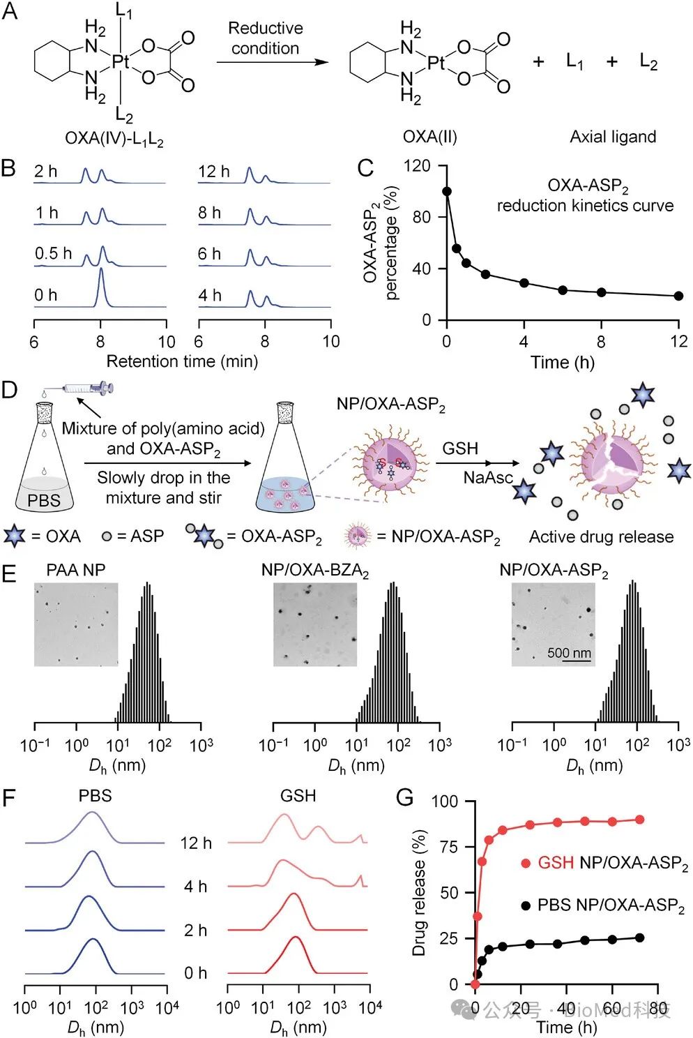 Details are in the caption following the image