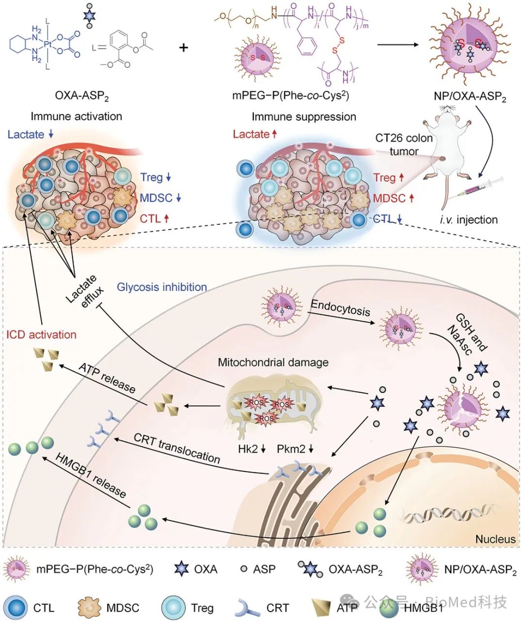 Details are in the caption following the image