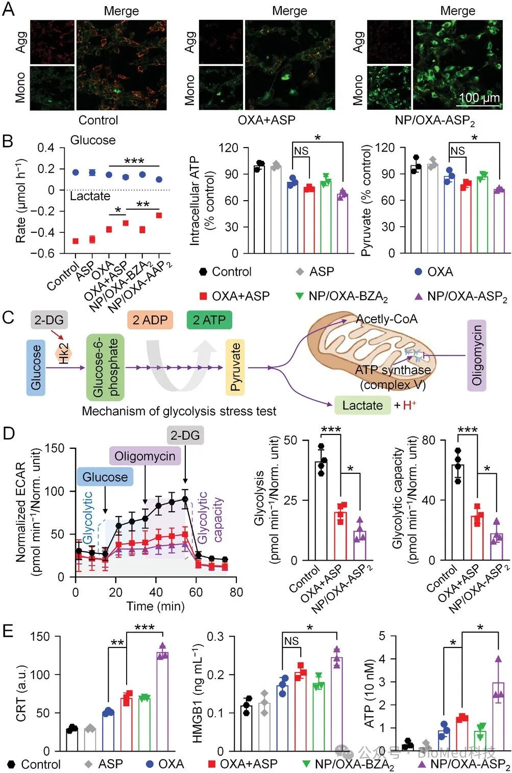 Details are in the caption following the image